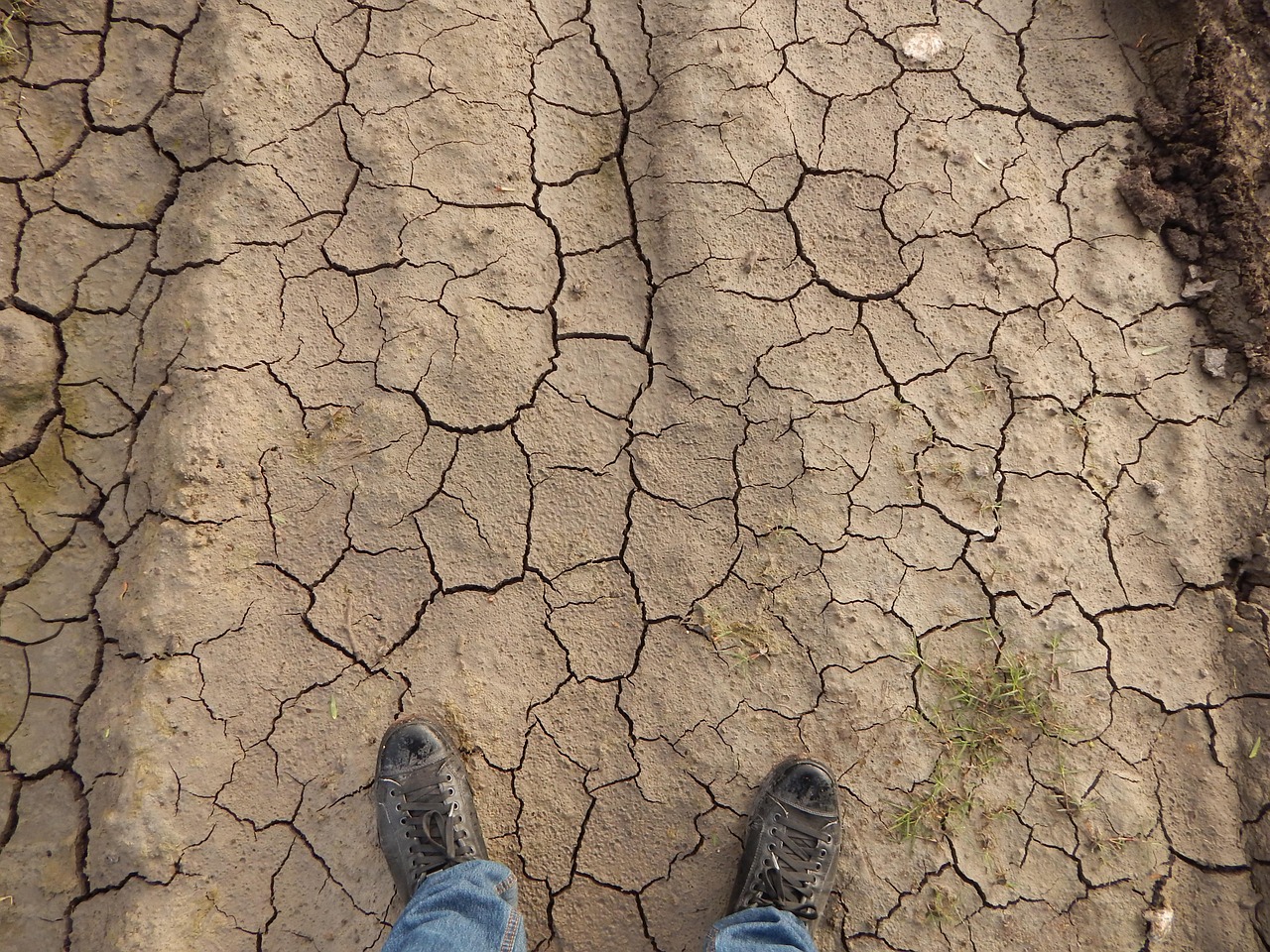 Terriccio secco in superficie con segni di crepe e mancanza di umidità.