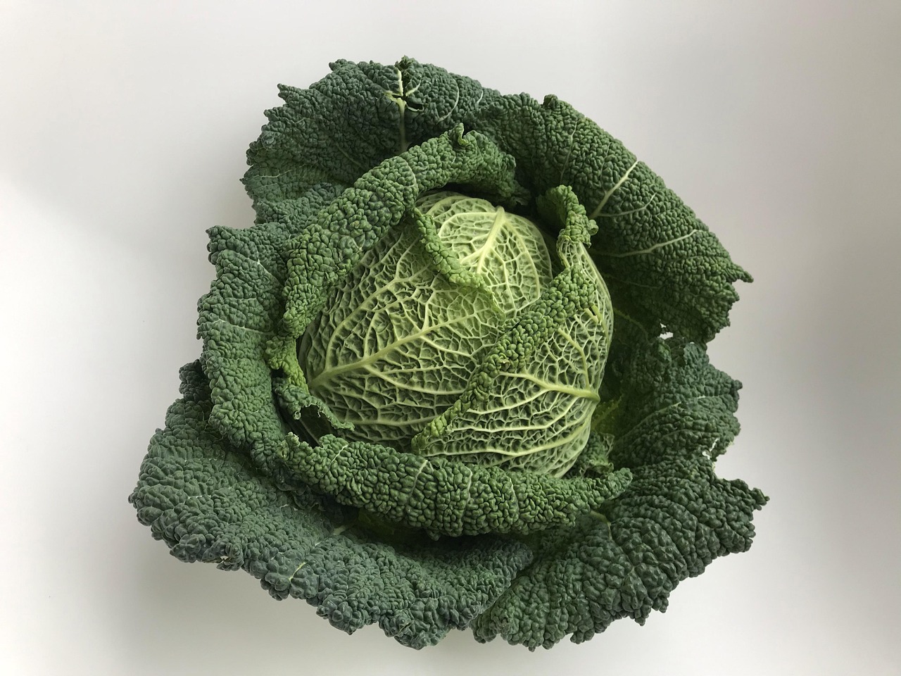 Chef mentre prepara il cavolo nero in cucina, con utensili e ingredienti freschi.